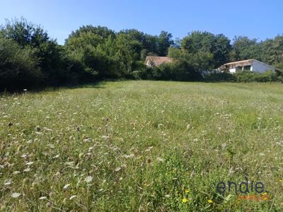 Terrain - 1 264 m²