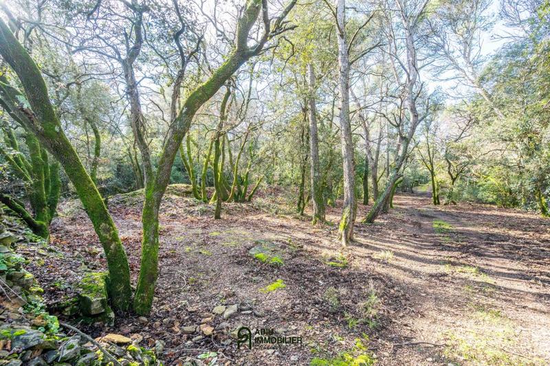 Terrain constructible - 1 299 m²