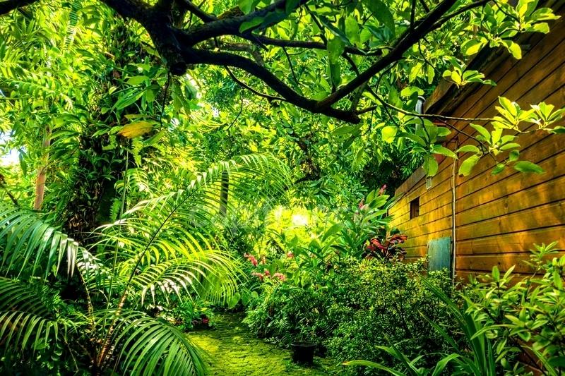 Maison - 116 m² - 5 pièces