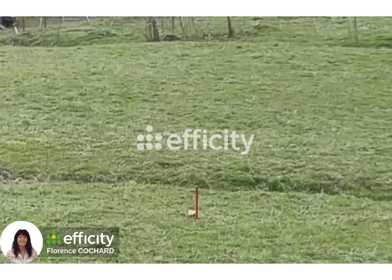 Terrain constructible - 1 249 m²