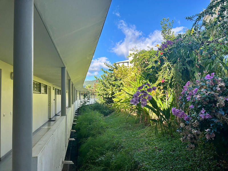 Appartement - 25 m² - 1 pièce