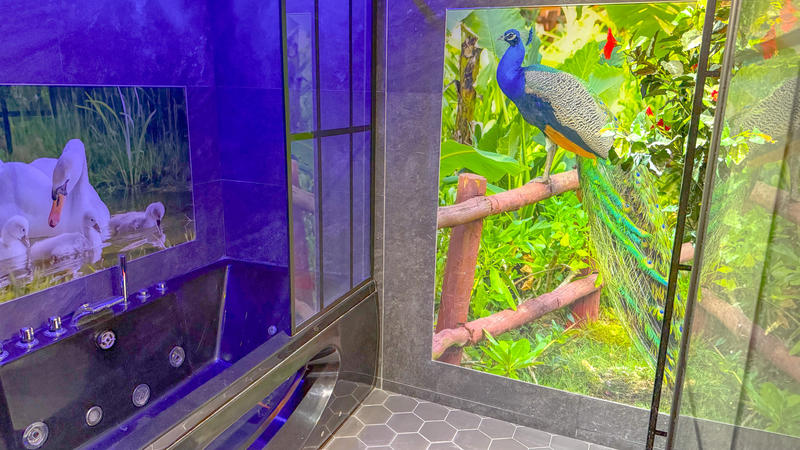 Appartement - 81 m² - 3 pièces