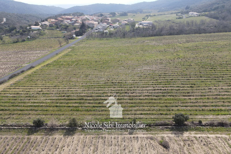Terrain agricole - 17 985 m²