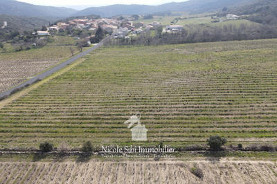 Terrain agricole - 17 985 m²