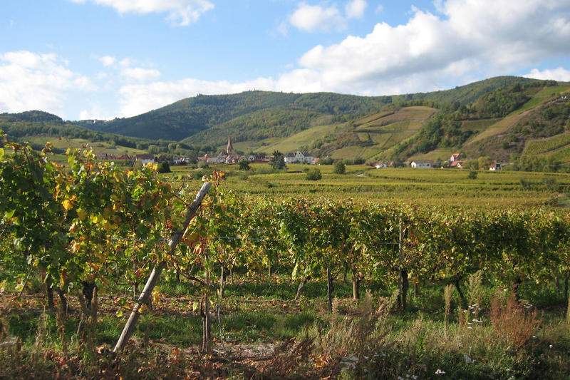 Club Vosgien : Villages d'histoire, châteaux de légende