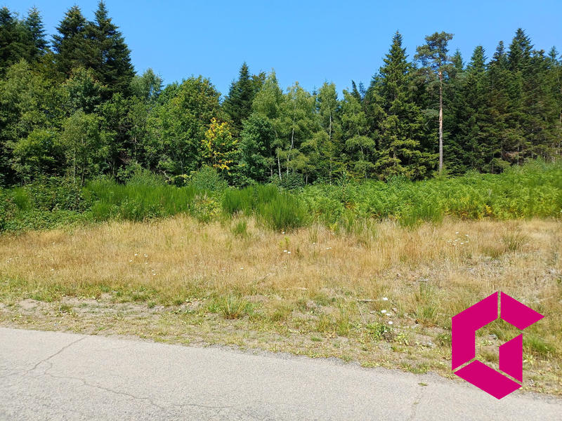 Terrain - 11 620 m²