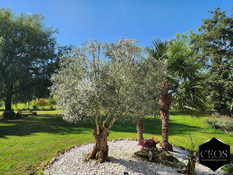 Maison - 280 m² - 8 pièces