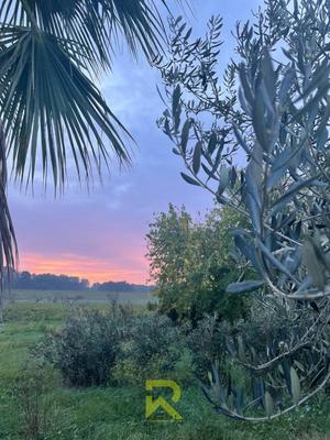 Mas - 294 m² - 8 pièces