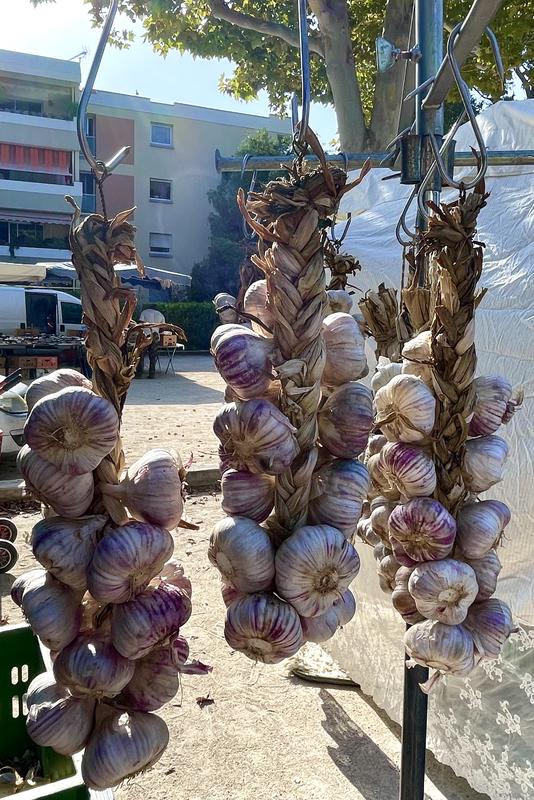 Le Marché bi-hebdomadaire