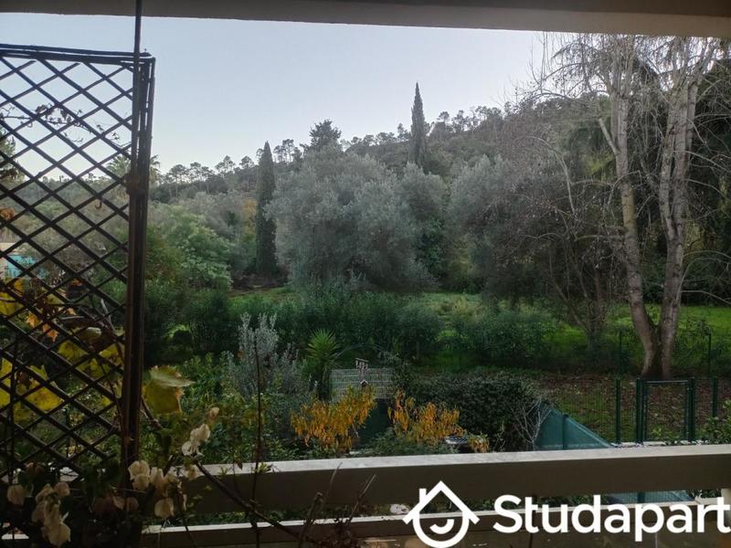 Appartement - 29 m² - 1 pièce