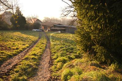 Maison - 113 m² - 5 pièces