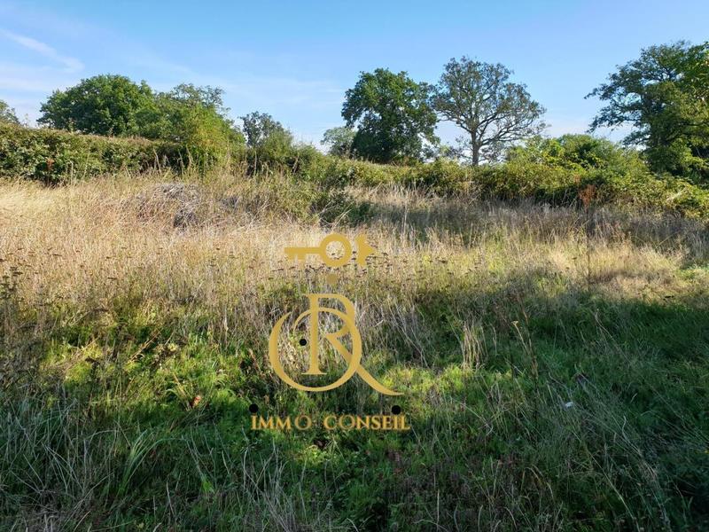 Maison ancienne - 119 m² - 4 pièces