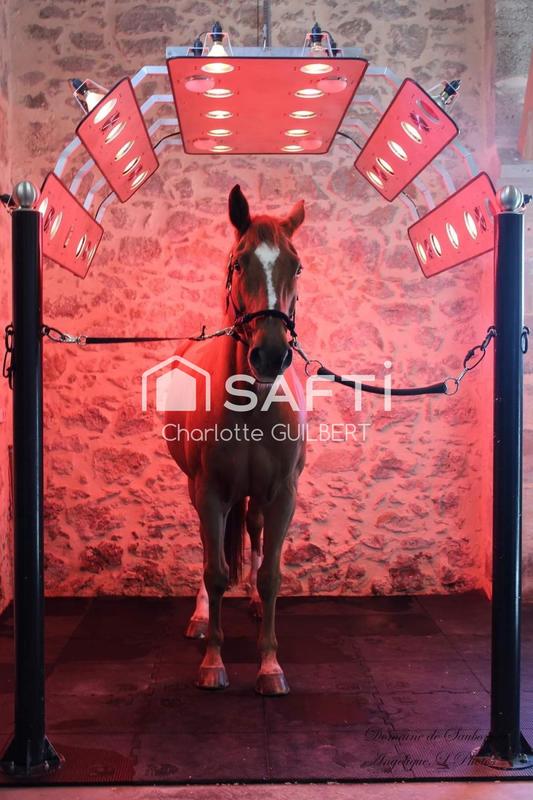 Maison - 265 m² - 6 pièces