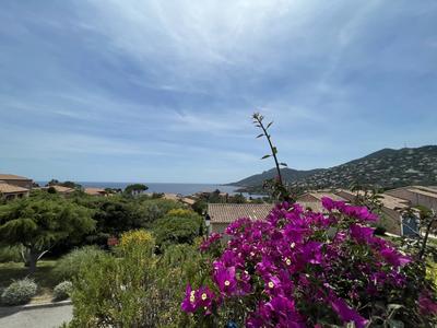 Appartement - 30 m² - 2 pièces