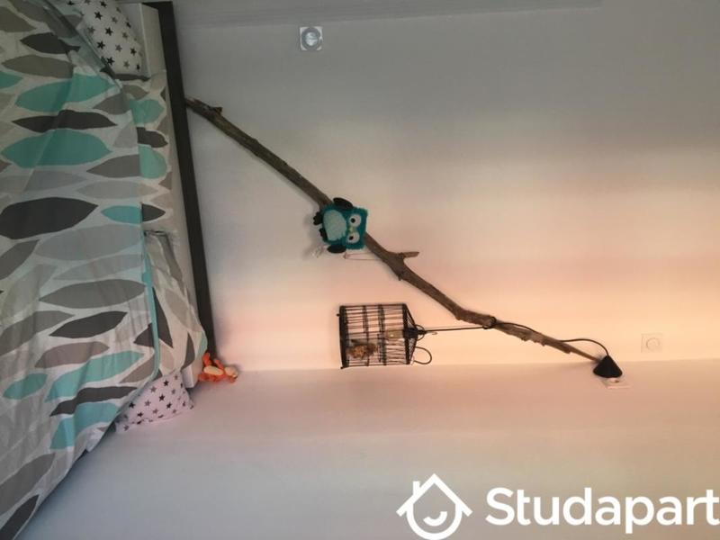 Chambre - 17 m² - 1 pièce