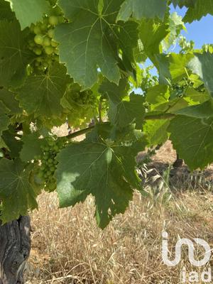 Terrain agricole - 216 211 m²