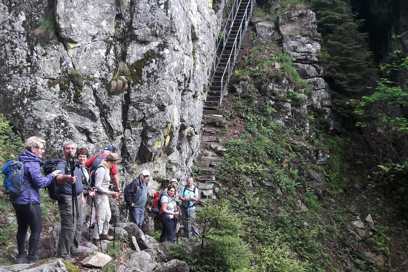 Club Vosgien : le sentier des Hirschsteine