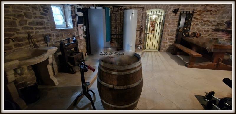 Maison - 290 m² - 8 pièces