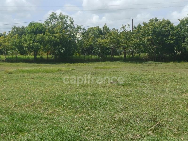 Terrain constructible - 1 000 m²