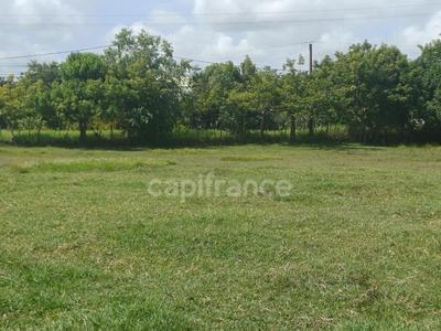 Terrain constructible - 1 000 m²