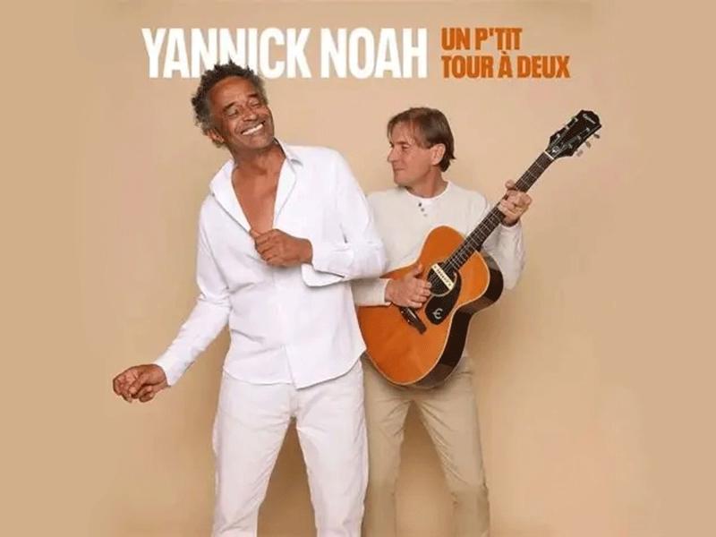 Concert - Yannick Noah