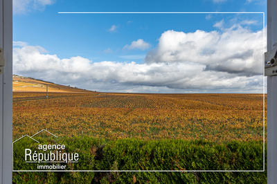 Appartement - 29 m² - 1 pièce