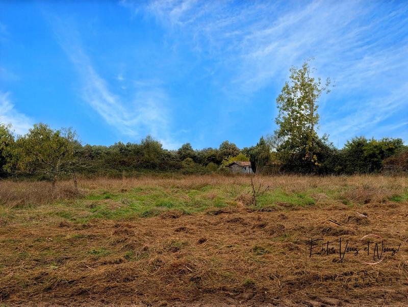 Maison ancienne - 81 m² - 3 pièces