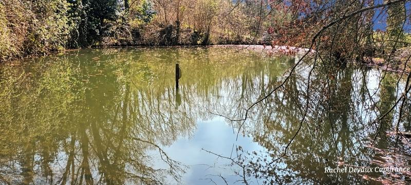 Terrain de loisirs - 18 756 m²