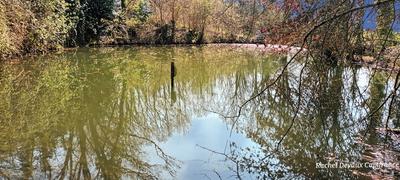 Terrain de loisirs - 18 756 m²