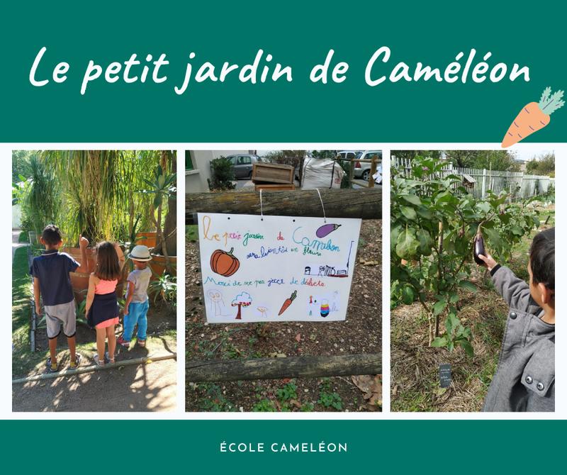 Ecole Caméléon