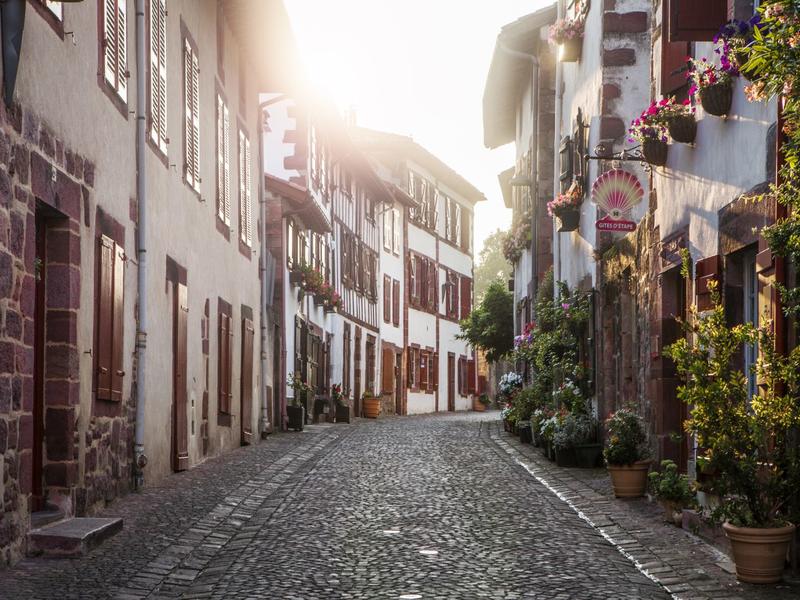 Sortie nature Cpie Pays Basque : "Les plantes sauvages de la rue"