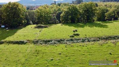Terrain - 9 050 m²