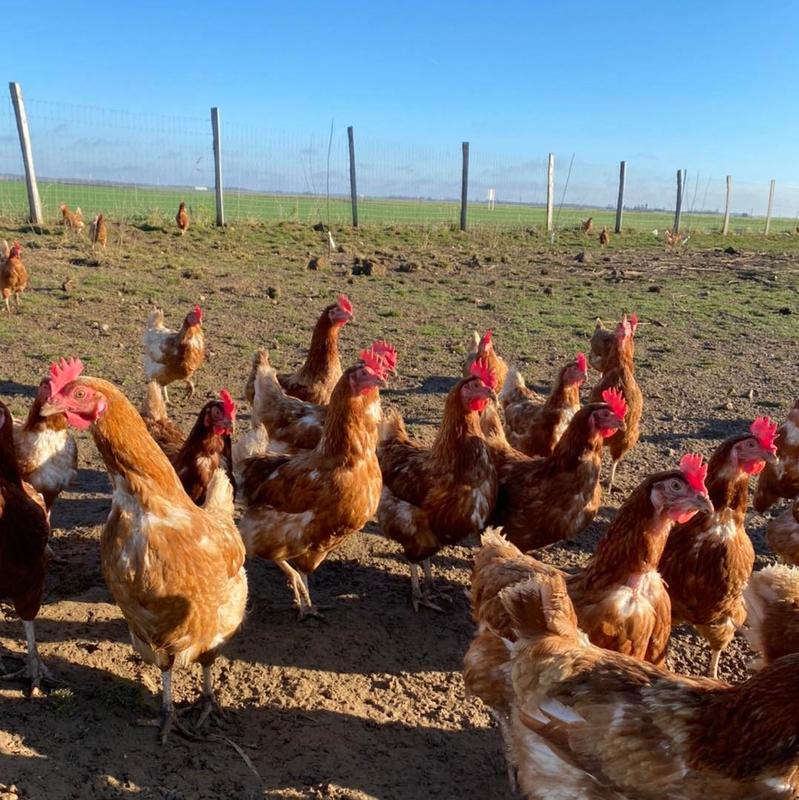 Ferme de Bretonvilliers