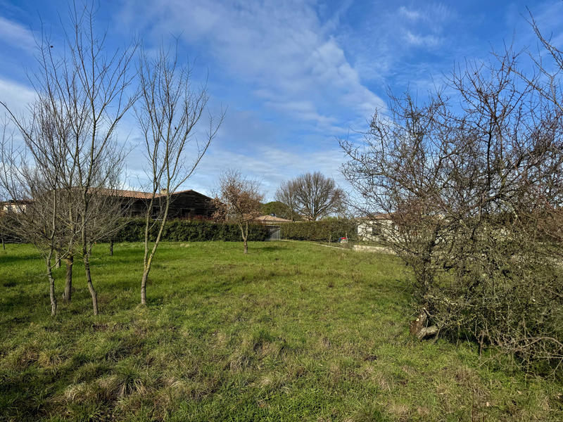 Terrain - 2 478 m²