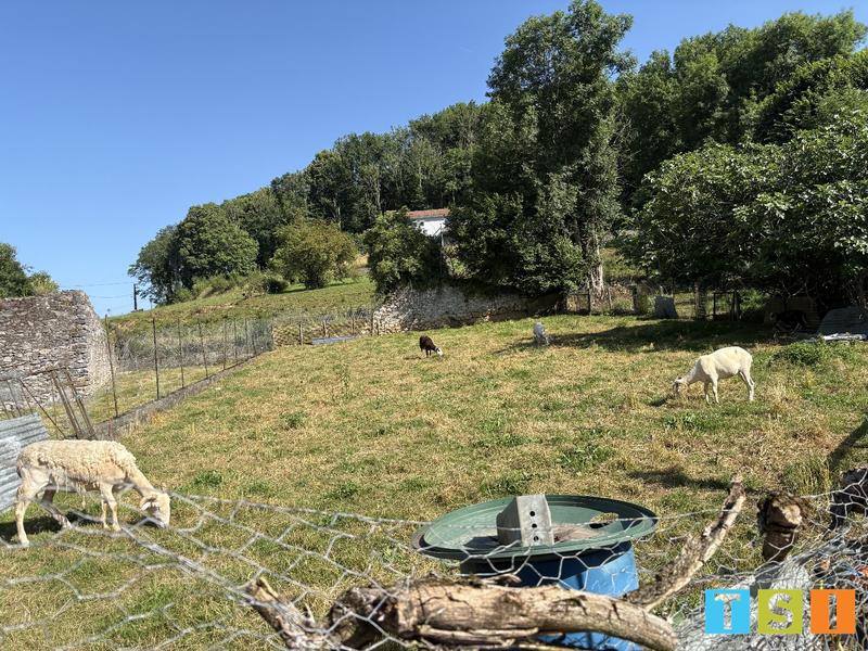 Maison de campagne - 108 m² - 5 pièces