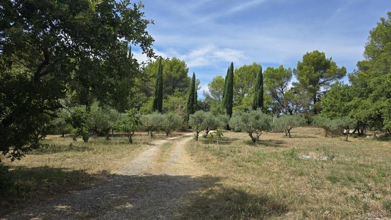 Maison - 445 m² - 15 pièces