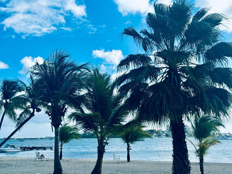 Appartement - 22 m² - 1 pièce