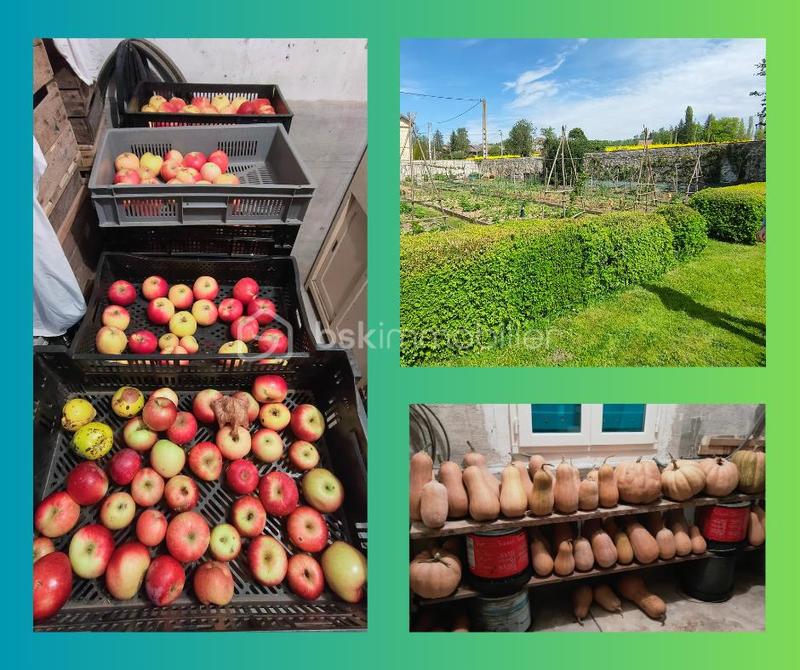 Maison ancienne - 150 m² - 6 pièces