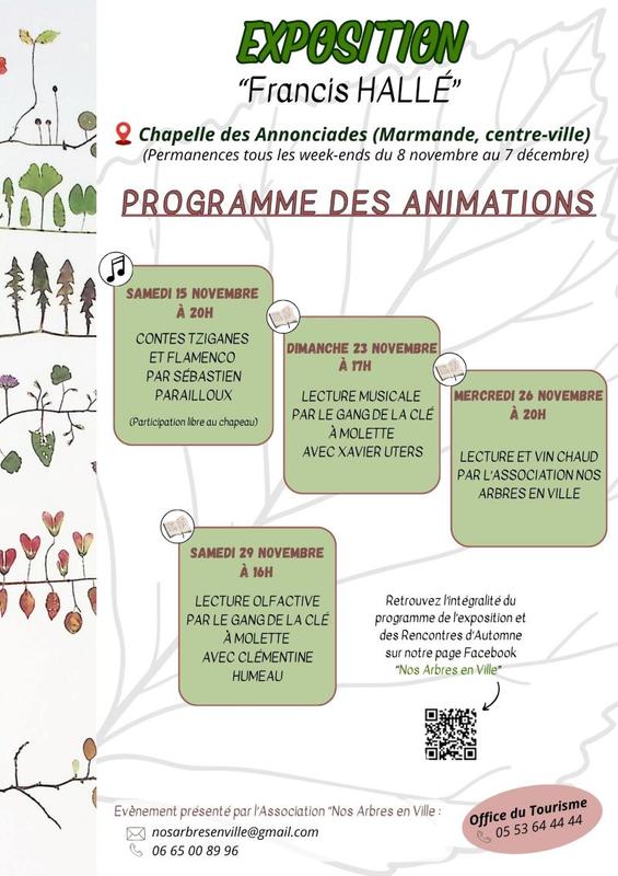 Exposition Francis Hallé