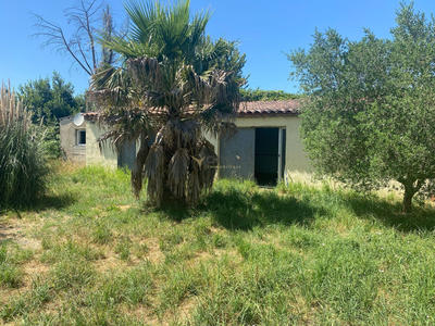 Mas - 135 m² - 5 pièces