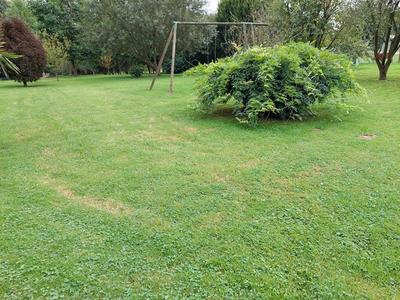 Longère - 234 m² - 7 pièces