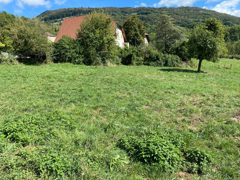 Terrain - 1 170 m²