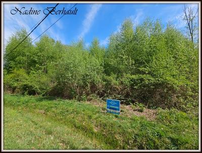 Terrain constructible - 3 921 m²