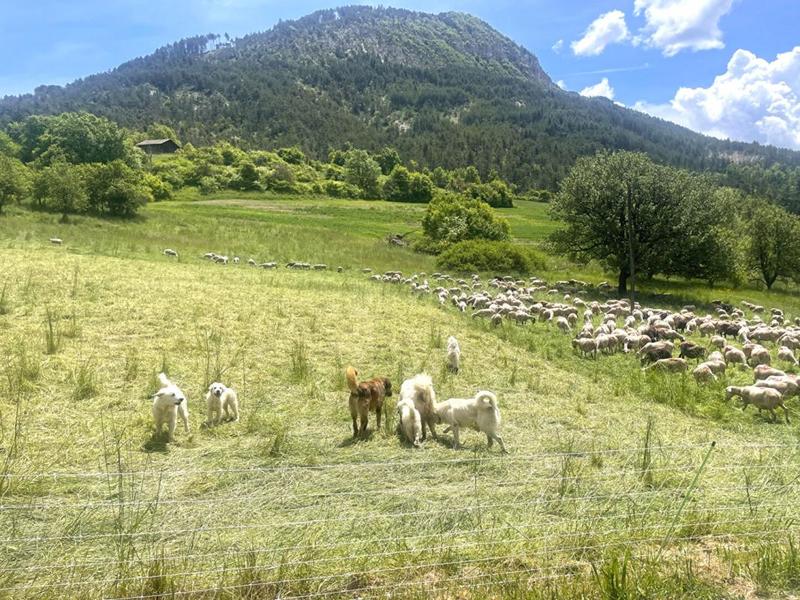 Terrain constructible - 989 m²