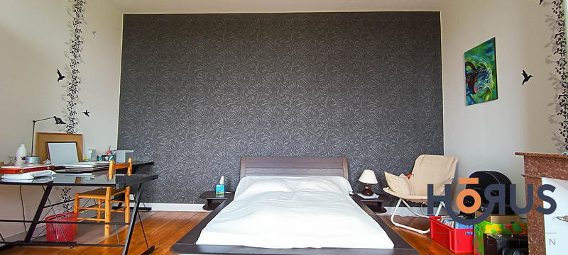 Viager - Maison - 395 m² - 8 pièces