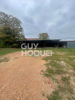 Local d'activité / Entrepôt - 200 m²