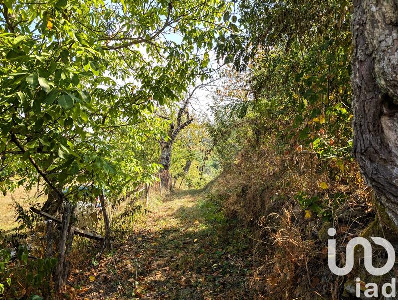 Maison - 55 m² - 3 pièces