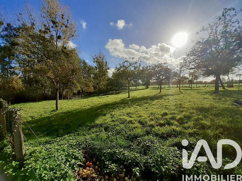 Maison de campagne - 150 m² - 6 pièces