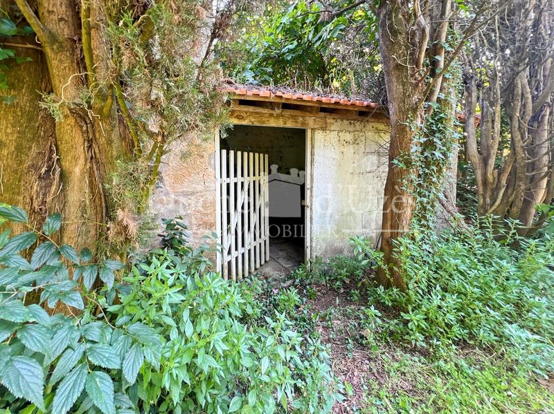 Ferme - 80 m² - 2 pièces