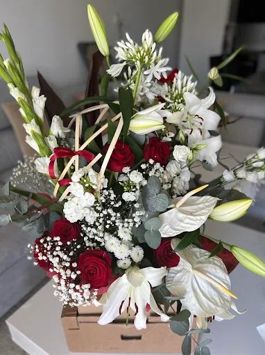 Agapanthe et Compagnie